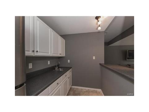 17464 Hilltop Rdg, Eureka, MO 63025 photo 37