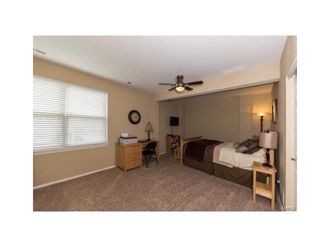 17464 Hilltop Rdg, Eureka, MO 63025 photo 48