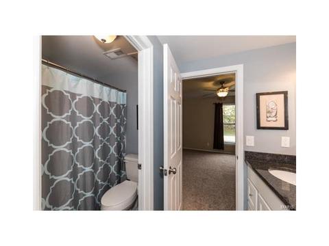 17464 Hilltop Rdg, Eureka, MO 63025 photo 46