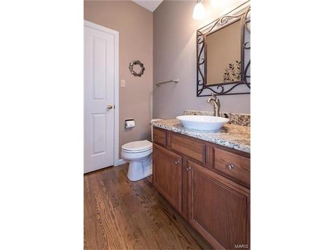 16736 Highland Summit Dr, Ballwin, MO 63011 photo 16