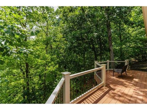 1610 Summit Estates Dr, O'fallon, MO 63366 photo 65