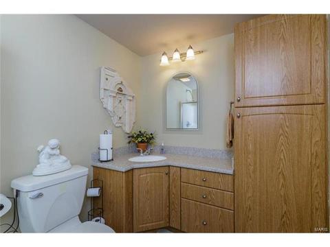 1610 Summit Estates Dr, O'fallon, MO 63366 photo 46