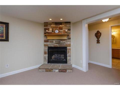 1610 Summit Estates Dr, O'fallon, MO 63366 photo 36