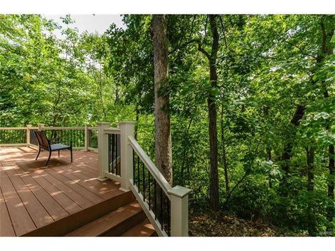 1610 Summit Estates Dr, O'fallon, MO 63366 photo 67