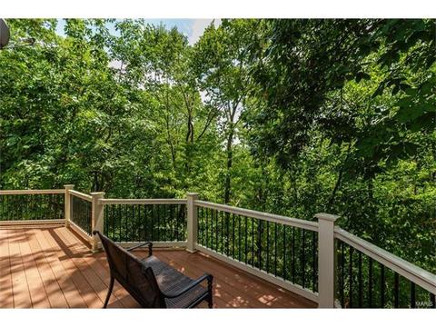 1610 Summit Estates Dr, O'fallon, MO 63366 photo 66