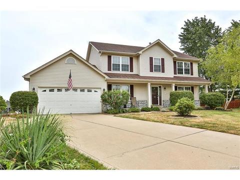 22 Knoll Ridge Ct, O'fallon, MO 63368 photo 2