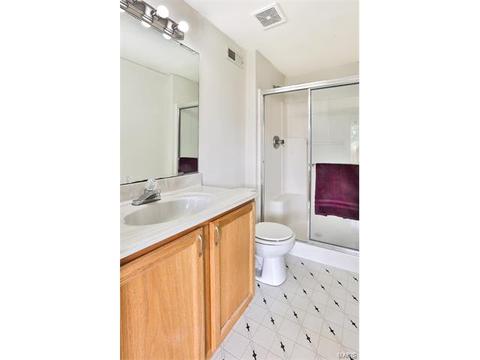 22 Knoll Ridge Ct, O'fallon, MO 63368 photo 29