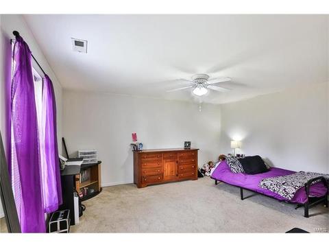 22 Knoll Ridge Ct, O'fallon, MO 63368 photo 28