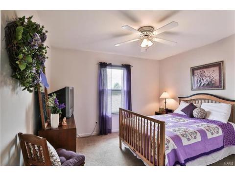 22 Knoll Ridge Ct, O'fallon, MO 63368 photo 20