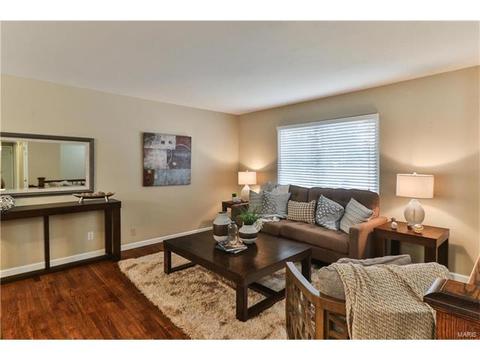 11642 Frontier Dr, Saint Louis, MO 63146 photo 2