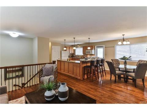 11642 Frontier Dr, Saint Louis, MO 63146 photo 7