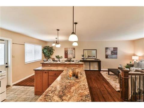 11642 Frontier Dr, Saint Louis, MO 63146 photo 9
