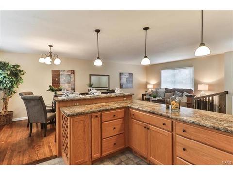 11642 Frontier Dr, Saint Louis, MO 63146 photo 13