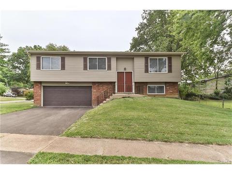 11642 Frontier Dr, Saint Louis, MO 63146 photo 1