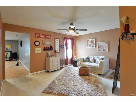 523 Copper Mdws, O'fallon, MO 63368 photo 19