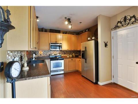 523 Copper Mdws, O'fallon, MO 63368 photo 9