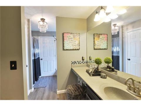 523 Copper Mdws, O'fallon, MO 63368 photo 17