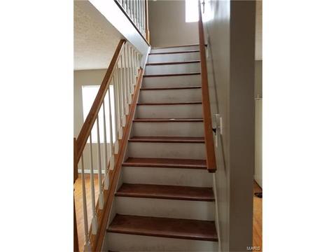 928 Spring Ave, Saint Charles, MO 63301 photo 8