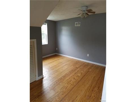 928 Spring Ave, Saint Charles, MO 63301 photo 9