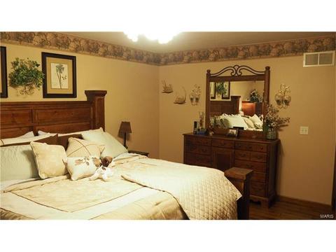 1338 Shelby Pt, O'fallon, MO 63366 photo 12