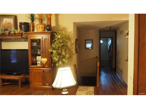 1338 Shelby Pt, O'fallon, MO 63366 photo 5