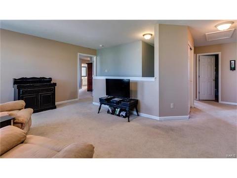 131 Preston Cir, O'fallon, MO 63368 photo 40