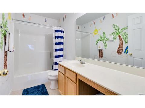 131 Preston Cir, O'fallon, MO 63368 photo 45