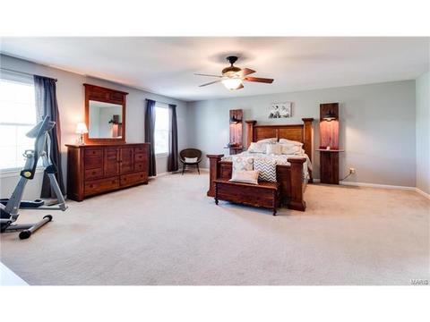 131 Preston Cir, O'fallon, MO 63368 photo 31