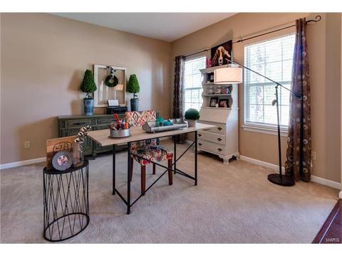 131 Preston Cir, O'fallon, MO 63368 photo 16