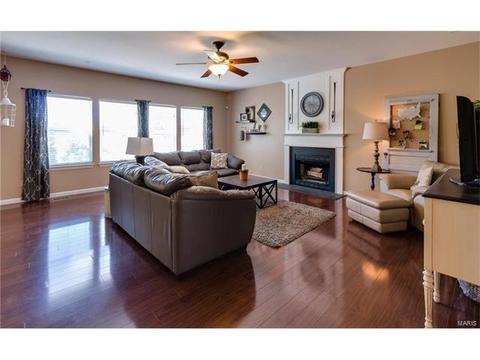 131 Preston Cir, O'fallon, MO 63368 photo 17