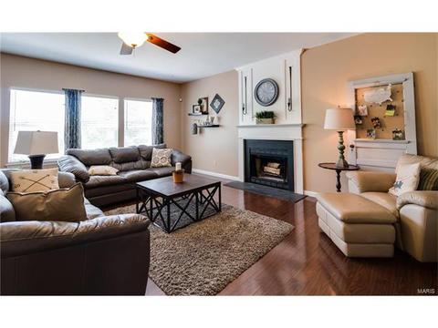 131 Preston Cir, O'fallon, MO 63368 photo 18