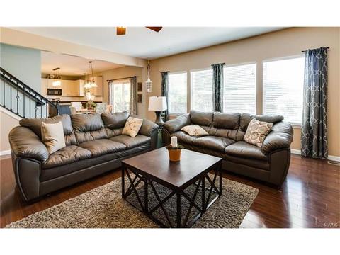 131 Preston Cir, O'fallon, MO 63368 photo 21