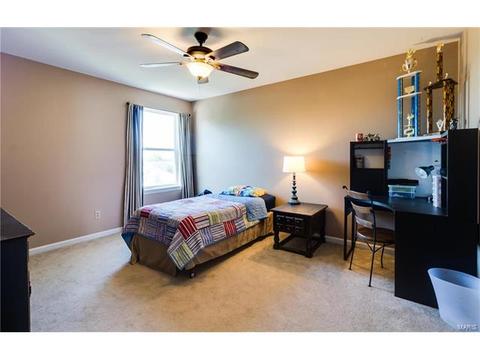 131 Preston Cir, O'fallon, MO 63368 photo 47