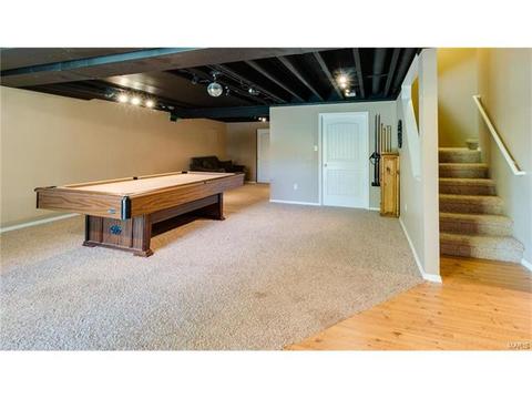 131 Preston Cir, O'fallon, MO 63368 photo 49
