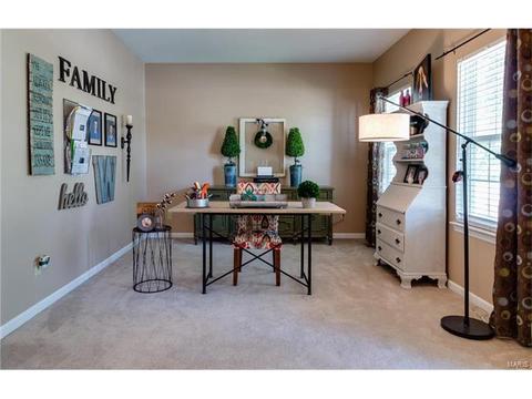131 Preston Cir, O'fallon, MO 63368 photo 15