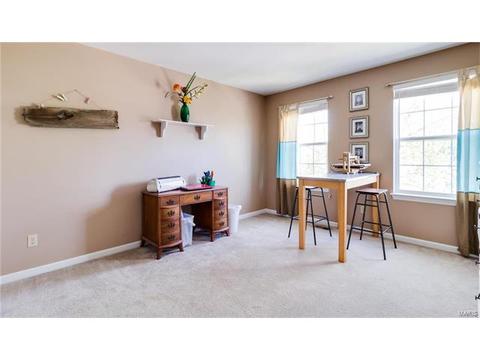 131 Preston Cir, O'fallon, MO 63368 photo 41