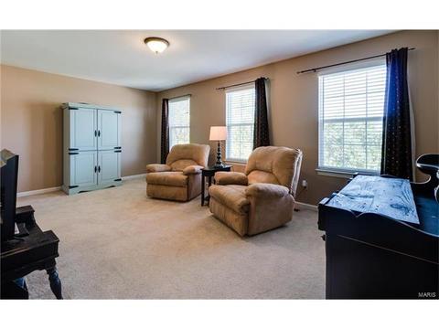 131 Preston Cir, O'fallon, MO 63368 photo 39