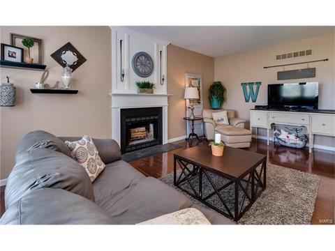 131 Preston Cir, O'fallon, MO 63368 photo 19