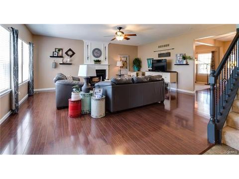 131 Preston Cir, O'fallon, MO 63368 photo 22