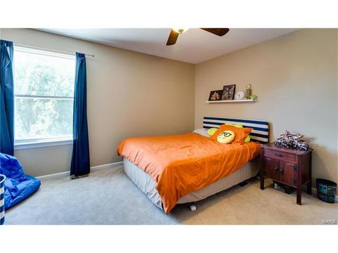 131 Preston Cir, O'fallon, MO 63368 photo 44