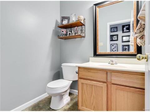131 Preston Cir, O'fallon, MO 63368 photo 29