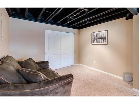 131 Preston Cir, O'fallon, MO 63368 photo 50