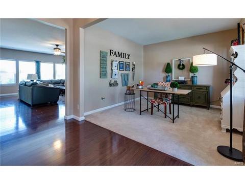131 Preston Cir, O'fallon, MO 63368 photo 13
