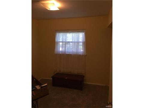 304 Saint Christopher Dr, O'fallon, MO 63366 photo 19