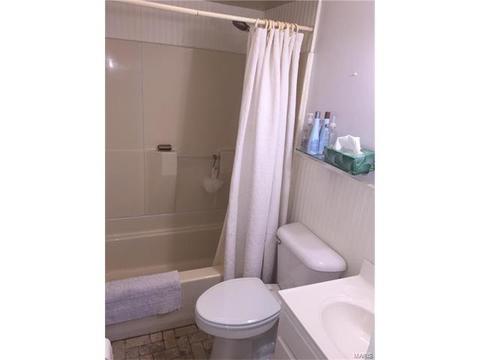 304 Saint Christopher Dr, O'fallon, MO 63366 photo 16