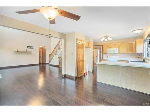2539 Hickory Manor Dr, Wildwood, MO 63011 photo 18