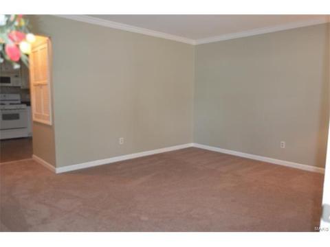 45 Evergreen Ct, Ballwin, MO 63021 photo 11