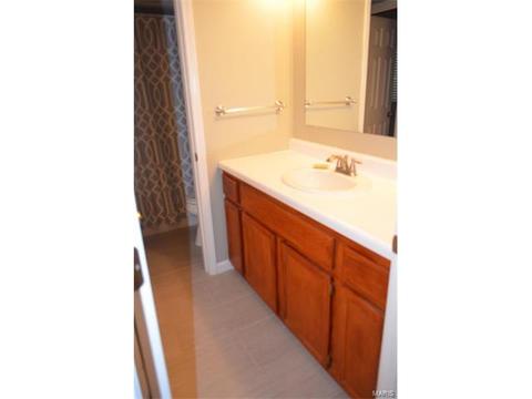 45 Evergreen Ct, Ballwin, MO 63021 photo 20