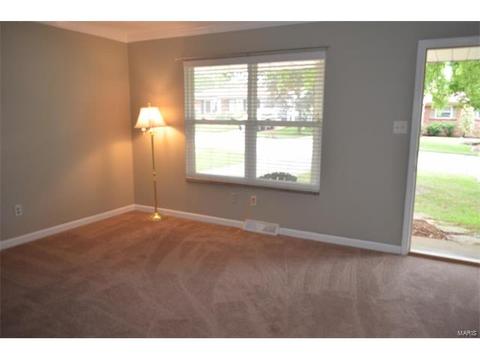 45 Evergreen Ct, Ballwin, MO 63021 photo 9
