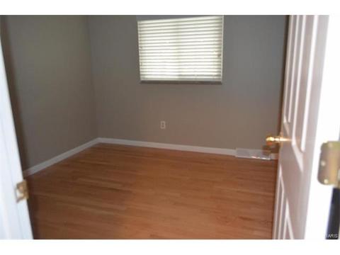 45 Evergreen Ct, Ballwin, MO 63021 photo 10